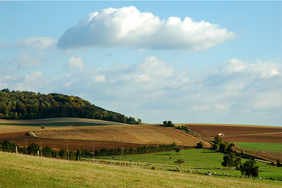 La Campagne Accessible, C’est Possible !